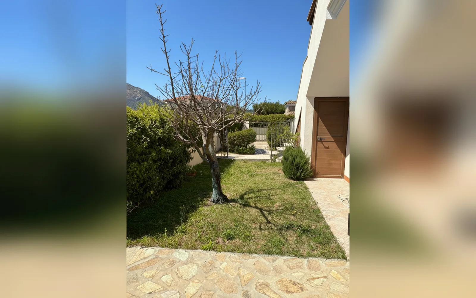 Il giardino con l'albero e la recinzione in pietra