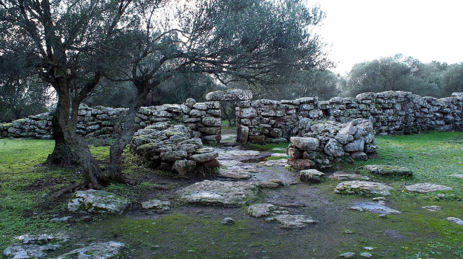 I resti in pietra del complesso nuragico di Serra Orrios, a Dorgali