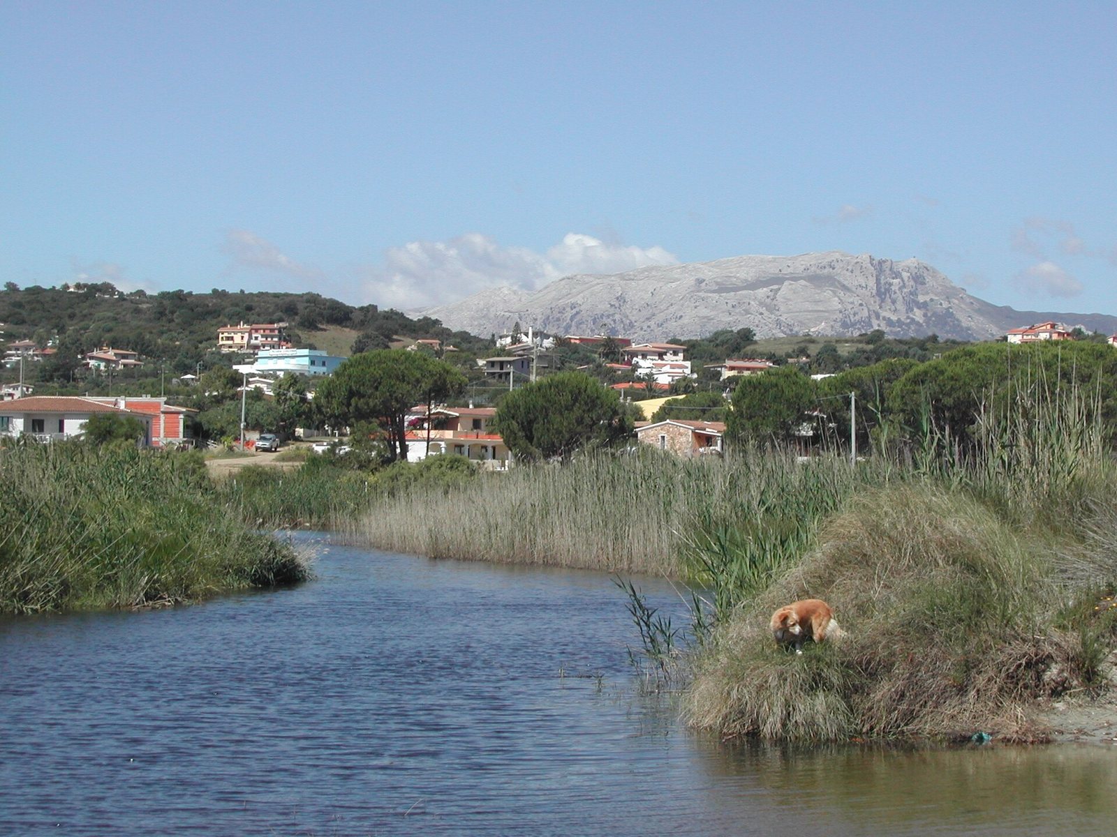 Il fiume e l'abitato di Santa Lucia di Siniscola con il Monte Albo sullo sfondo